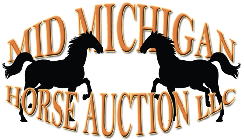 Mid Michigan Horse Auction LLC